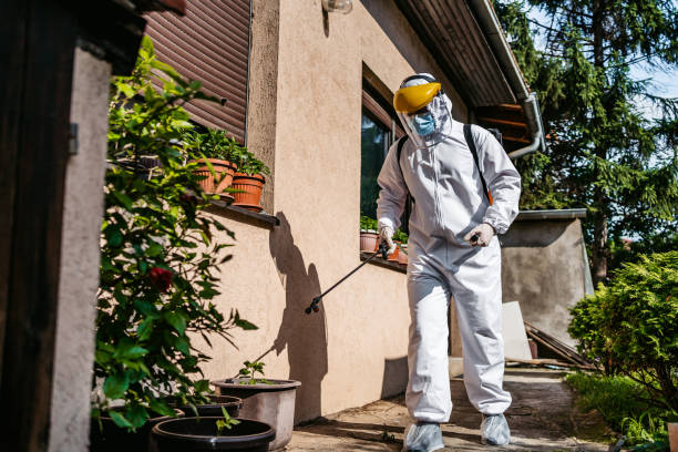 Best Rat Extermination Near Me  in Friendship Heights Village, MD