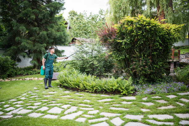 Best Local Pest Control Services  in Friendship Heights Village, MD