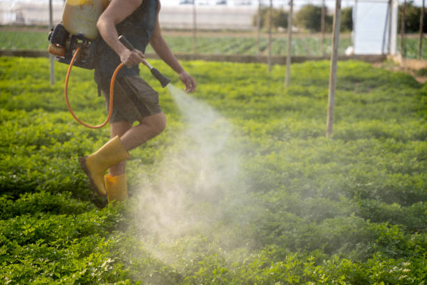 Best Pest Removal Services  in Friendship Heights Village, MD