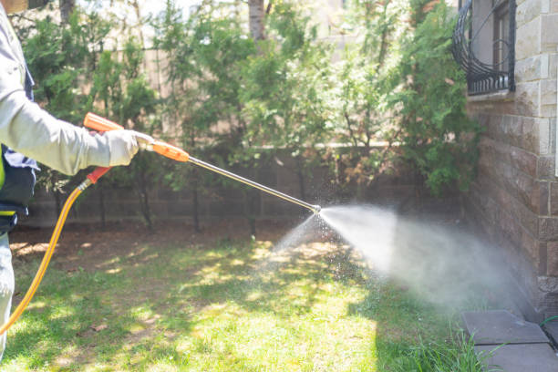 Best Flea Control Services  in Friendship Heights Village, MD