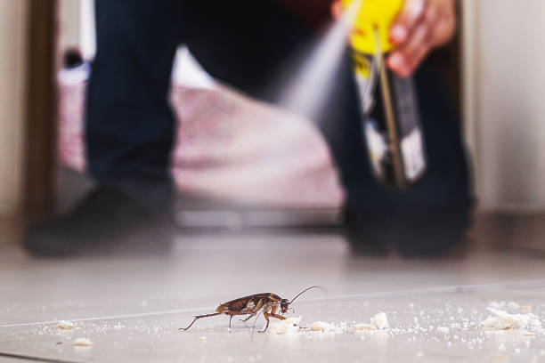 Best Mosquito Control Services  in Friendship Heights Village, MD