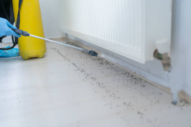 Best Bed Bug Extermination  in Friendship Heights Village, MD